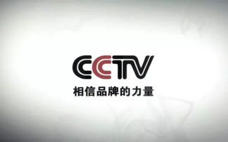 雷軍 努力工作，克制貪婪——數字廣告時代的智慧箴言